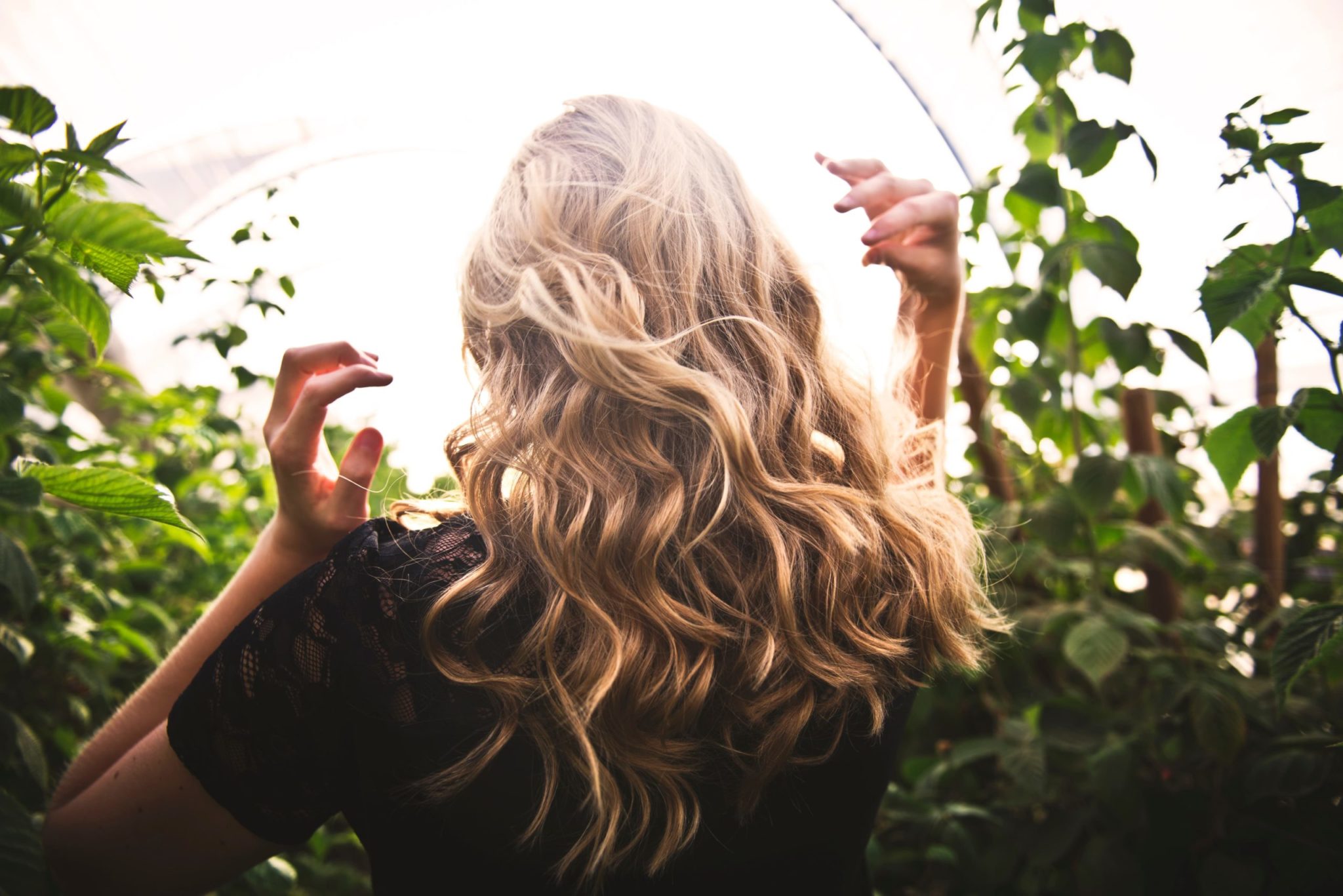 Cheveux Secs : Que Faire ? Guide Ultime du Soin au Naturel